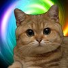 Avatar de lordbob